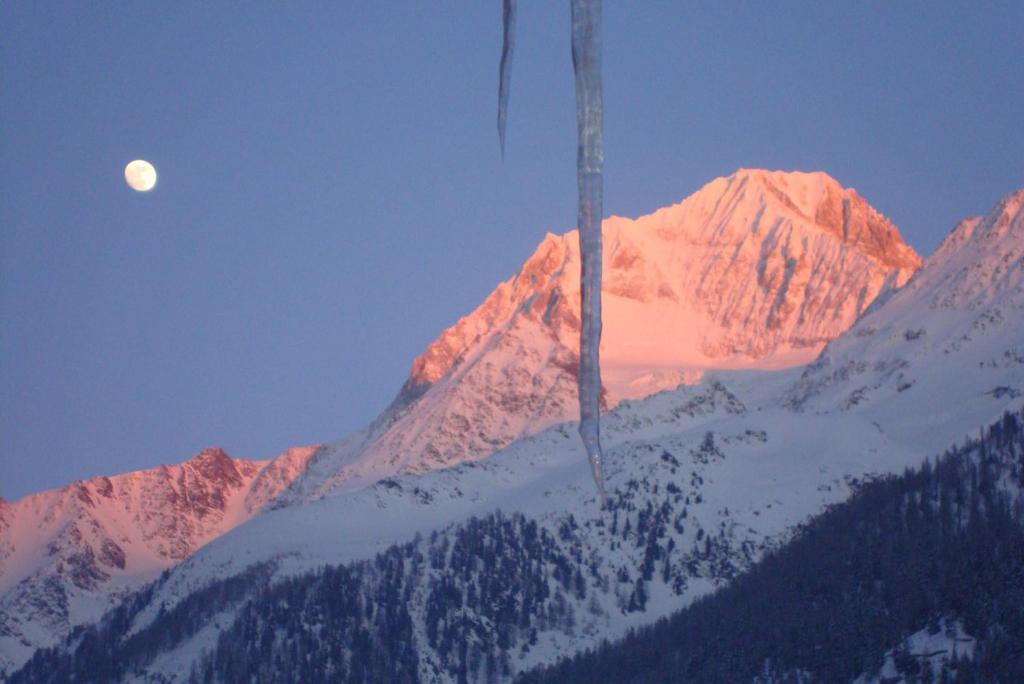 Bietschhorn Hotel Kippel Værelse billede